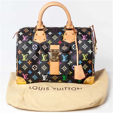 louis vuitton speedy 30 multicolor